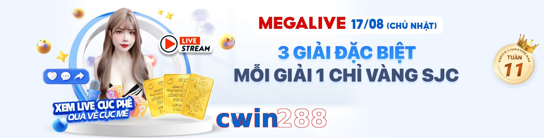 cwin288
